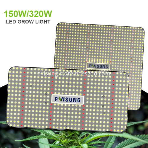 Led Grow Light Flowering